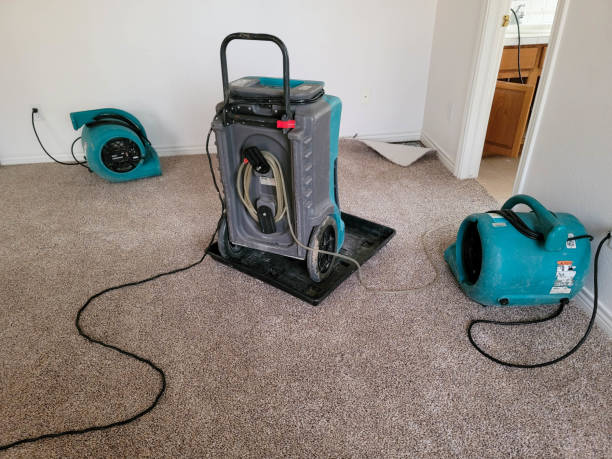 Best Sewage cleanup and water damage restoration  in Janesville, CA