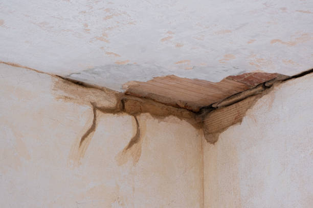 Best Flood damage cleanup  in Janesville, CA