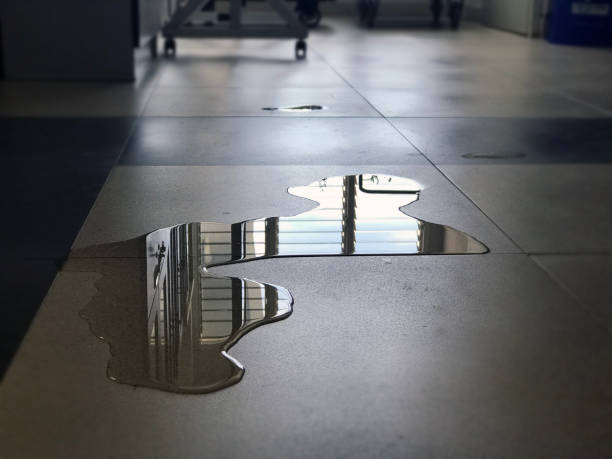 Best Water damage cleanup near me  in Janesville, CA