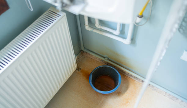 Best Water damage restoration near me  in Janesville, CA