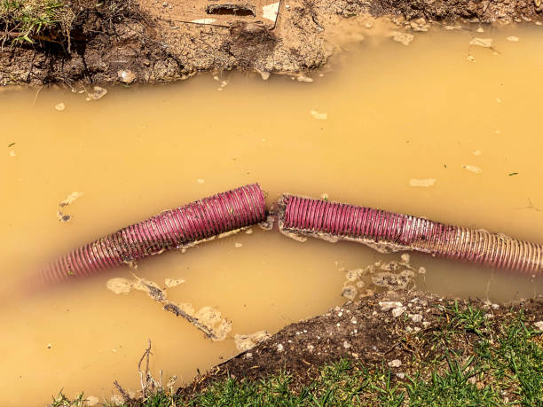 Best Sewage cleanup and water damage restoration  in Janesville, CA